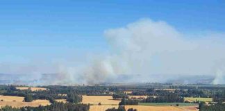 Ministerio de Agricultura declara emergencia agrícola en la región de la Araucanía por los incendios forestales
