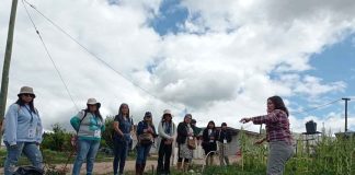 Ministerios de Agricultura y de la Mujer y la Equidad de Género relevan inédito curso online dirigido a mujeres profesionales del sector agrícola