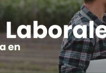 OFERTAS LABORALES AGRO 2025