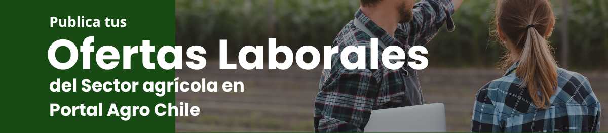 OFERTAS LABORALES AGRO 2025
