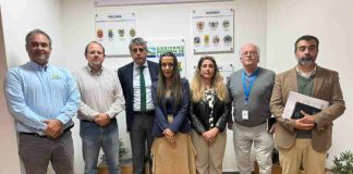 Programa Territorial Integrado de la Carne Bovina Los Lagos busca fortalecer lazos con el Gobierno Regional para potenciar el sector ganadero