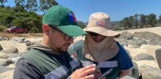 SAG Biobío realiza vigilancia de aves ante riesgo de influenza aviar 