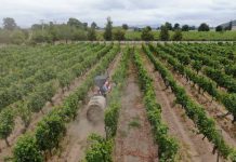 SAG prohíbe tres nuevos plaguicidas de uso agrícola