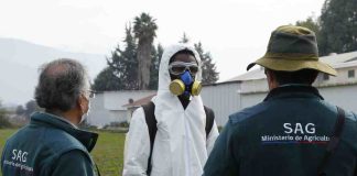 SAG prohíbe tres nuevos plaguicidas de uso agrícola