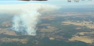 CONAF refuerza recursos terrestres y aéreos en el combate de incendios forestales en la Región de La Araucanía