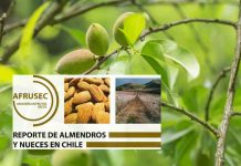 REPORTE 94 DE ALMENDROS Y NUECES EN CHILE. AFRUSEC Abril  2025.
