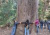 Agricultores del Maule fortalecen su compromiso con la biodiversidad en el marco del Programa TAS