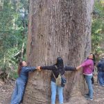 Agricultores del Maule fortalecen su compromiso con la biodiversidad en el marco del Programa TAS