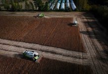 Agricultura en tiempo real: el campo conectado y la lógica digital del presente