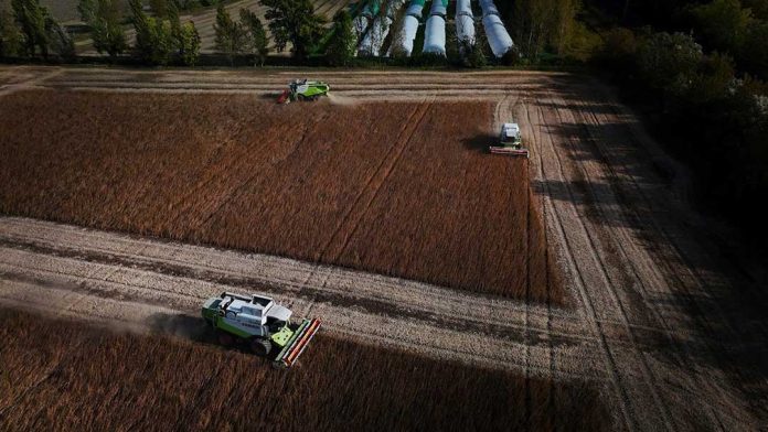 Agricultura en tiempo real: el campo conectado y la lógica digital del presente