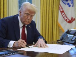 Aranceles de Trump preocupan al agro chileno