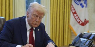 Aranceles de Trump preocupan al agro chileno