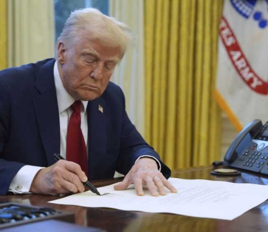 Aranceles de Trump preocupan al agro chileno