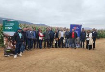 CNR e INIA capacitan a consultores en riego subterráneo y uso de energías renovables