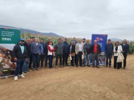 CNR e INIA capacitan a consultores en riego subterráneo y uso de energías renovables