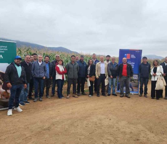 CNR e INIA capacitan a consultores en riego subterráneo y uso de energías renovables