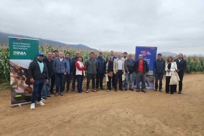 CNR e INIA capacitan a consultores en riego subterráneo y uso de energías renovables