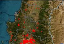 CONAF investiga origen de los incendios forestales para entregar informe a la Fiscalía