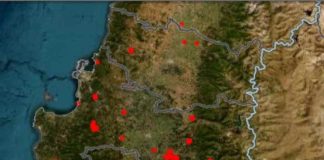 CONAF investiga origen de los incendios forestales para entregar informe a la Fiscalía