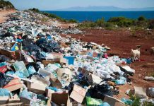 Crece interés de los chilenos por el medioambiente: al 98% le encantaría ser una persona “Cero Desperdicios”