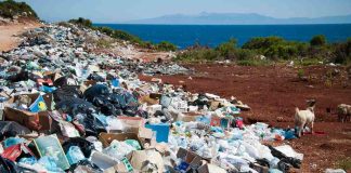 Crece interés de los chilenos por el medioambiente: al 98% le encantaría ser una persona “Cero Desperdicios”