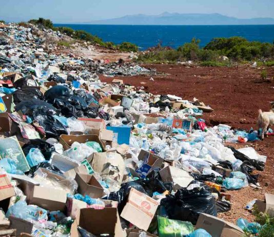 Crece interés de los chilenos por el medioambiente: al 98% le encantaría ser una persona “Cero Desperdicios”