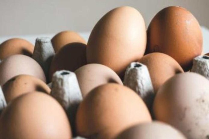 Crisis por el precio del huevo en EE.UU Experto advierte quiebre de stock antes de la disminución de valores