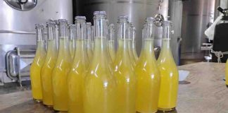 De la sequía a la innovación: agricultor transforma su producción con espumante de durazno junto a CREAS