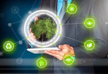 Día Mundial de la Eficiencia Energética