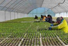 Empresas sostenibles podrán acceder hasta $60 millones para potenciar su crecimiento y adaptación climática