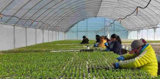Empresas sostenibles podrán acceder hasta $60 millones para potenciar su crecimiento y adaptación climática