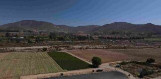 En el mes de la mujer: Productora de La Serena asegura el riego de sus hortalizas mediante proyecto de tecnificación bonificado por la CNR