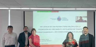 Estudiantes de postgrado contribuyen al futuro agroalimentario con INIA