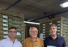 Histórico envío de uvas orgánicas a Estados Unidos marca un hito en la fruticultura sustentable regional