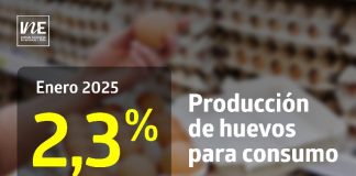 La producción de huevos de consumo presentó un aumento interanual de 2,3% en enero de 2025