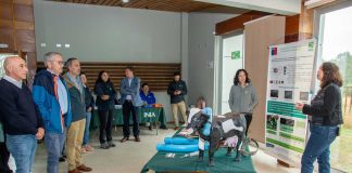 INIA Remehue presentó resultados de investigación para una ganadería sostenible