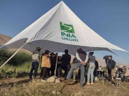 INIA URURI: 17 años impulsando la agricultura del desierto desde el extremo norte de Chile