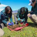INIA profundiza conocimientos en plagas insectiles de praderas junto a profesionales, técnicos y estudiantes