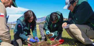INIA profundiza conocimientos en plagas insectiles de praderas junto a profesionales, técnicos y estudiantes