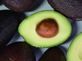 INIA y la palta: ciencia chilena para una fruta de clase mundial