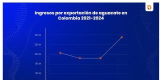 Datasur informa: Importante crecimiento de las exportaciones de aguacate de Latinoamérica en 2024, por aumento de compradores internacionales