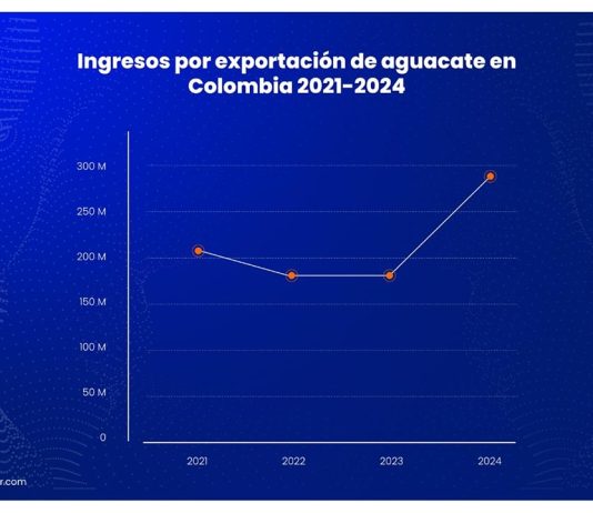 Datasur informa: Importante crecimiento de las exportaciones de aguacate de Latinoamérica en 2024, por aumento de compradores internacionales