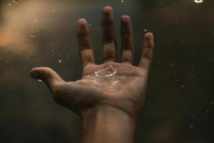  Innovaciones en la industria alimentaria pueden reducir hasta un 50% el consumo de agua