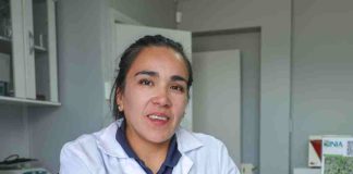 Investigadores de INIA Kampenaike estudian Potenciales usos de Salicornia magellanica para uso alimentario
