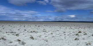 La ciencia y la comunidad intentan revivir un ecosistema en crisis en Laguna Blanca
