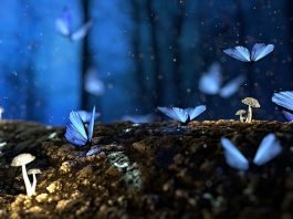 Las Principales Startups que Ayudan a la Naturaleza: Innovación y Sostenibilidad en el Mundo Empresarial