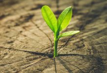 MERCO ESG | Nestlé Chile entre las 5 empresas que lideran en responsabilidad ambiental, social y de gobierno corporativo