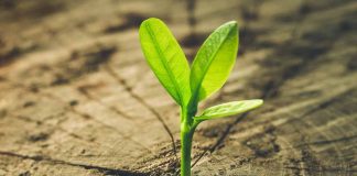 MERCO ESG | Nestlé Chile entre las 5 empresas que lideran en responsabilidad ambiental, social y de gobierno corporativo