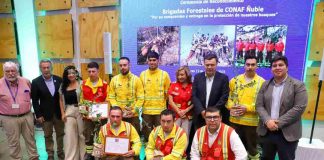Ministro Valenzuela destaca avances de la gestión del Gobierno en ceremonia de reconocimiento a brigadistas de CONAF de Ñuble
