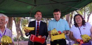 Ministro de Agricultura llama a replicar banco de alimentos y a consumir frutas y verduras en Día de la Mujer Feriante
